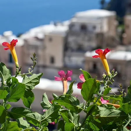 Hébergement de vacances Il Pettirosso In