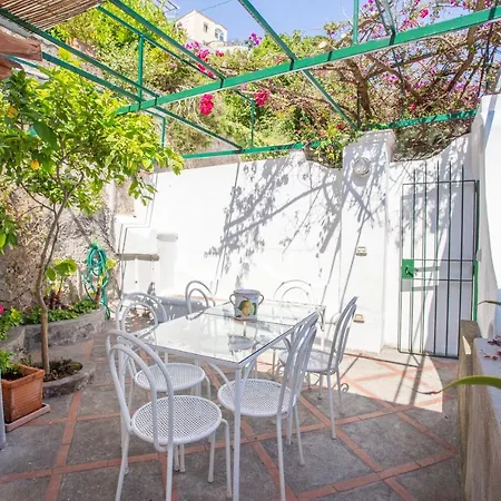 Il Pettirosso In Hébergement de vacances Positano
