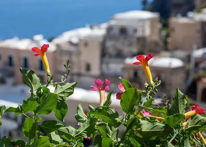 Holiday home Il Pettirosso In