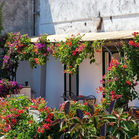 Il Pettirosso In * 波西塔諾