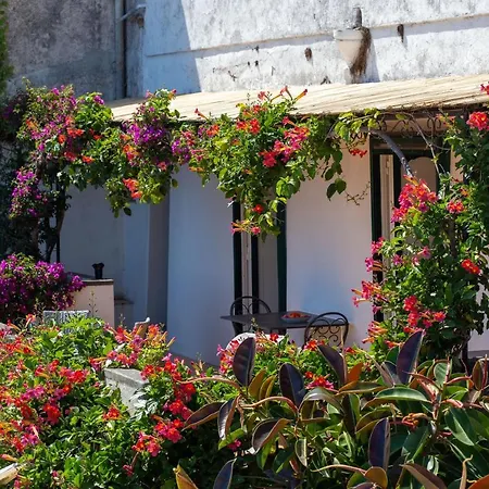 Il Pettirosso In 波西塔諾