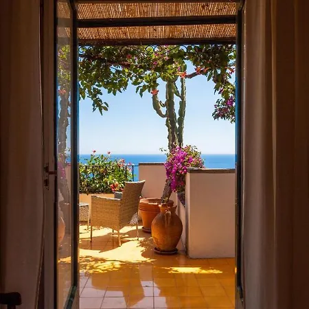 Il Pettirosso In * 波西塔諾