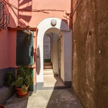 度假居 Il Pettirosso In *